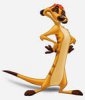   timON